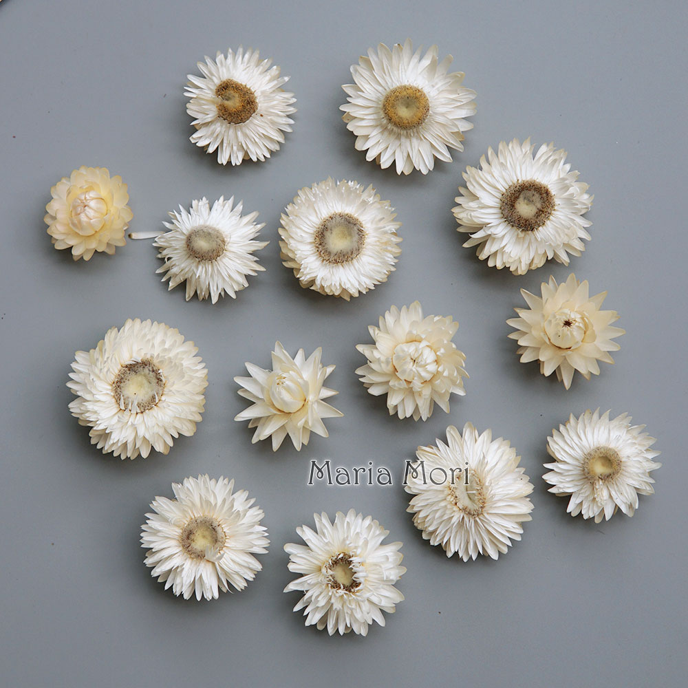 Candle Making Products - 天然のドライでカラフルな菊の花輪,手作りのヘアアクセサリー,樹脂製品,アロマテラピーキャンドル
