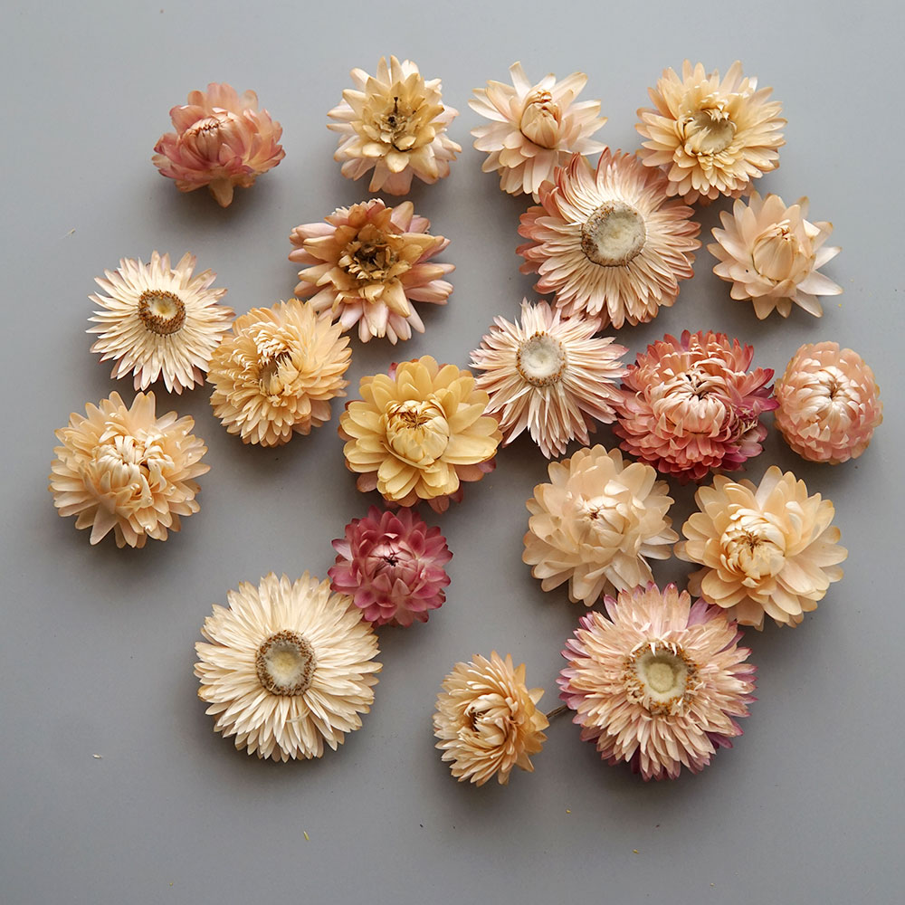 天然のドライでカラフルな菊の花輪,手作りのヘアアクセサリー, - Candle Making Products のレビューと価格