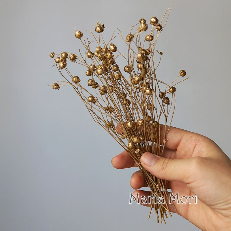 5g/保存された亜麻豆 天然の本物の花 カラフルなドライフラ - Candle Making Products のレビューと価格